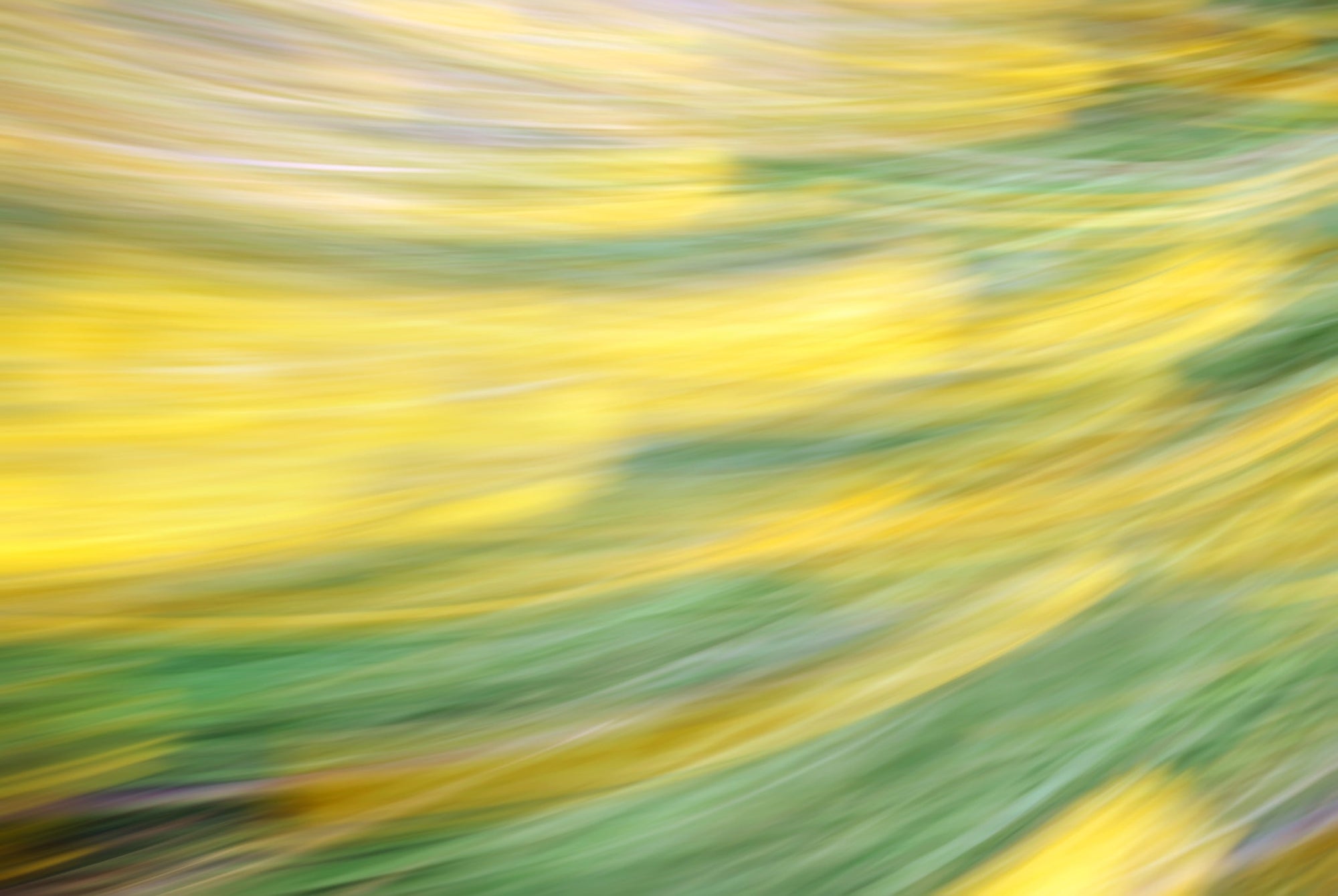 Static and Motion, 2009-10-18-0426