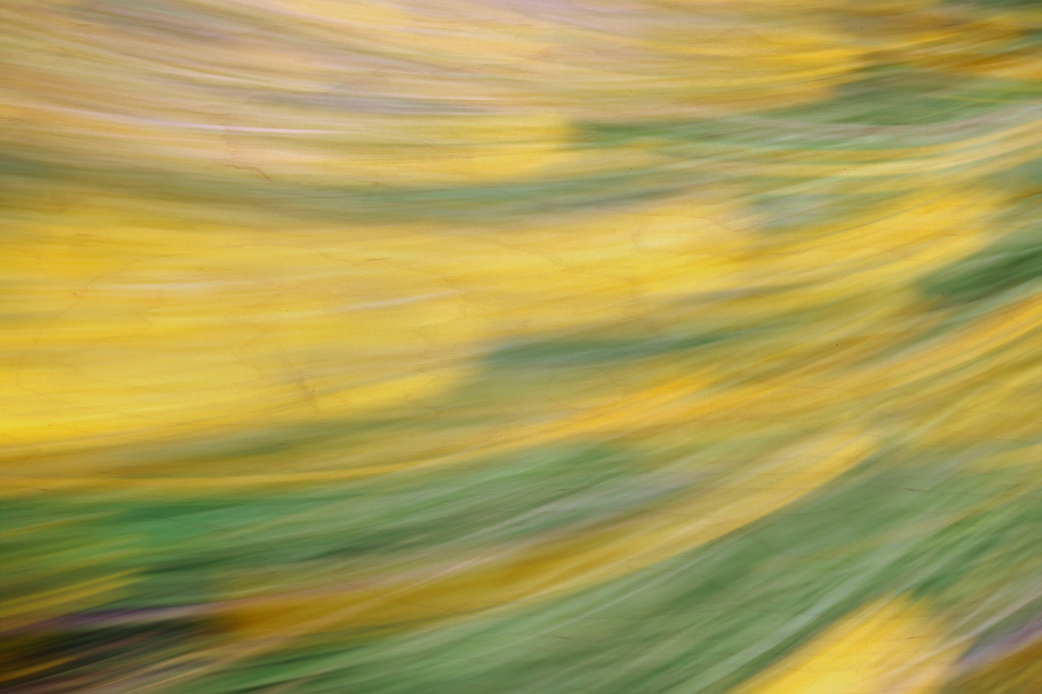 Static and Motion, 2009-10-18-0426