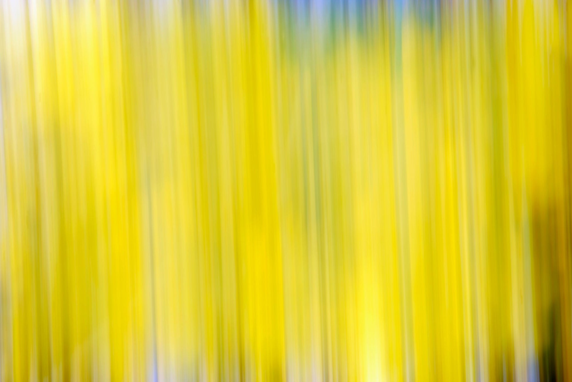 Static and Motion, 2009-10-18-0429