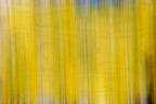 Static and Motion, 2009-10-18-0429