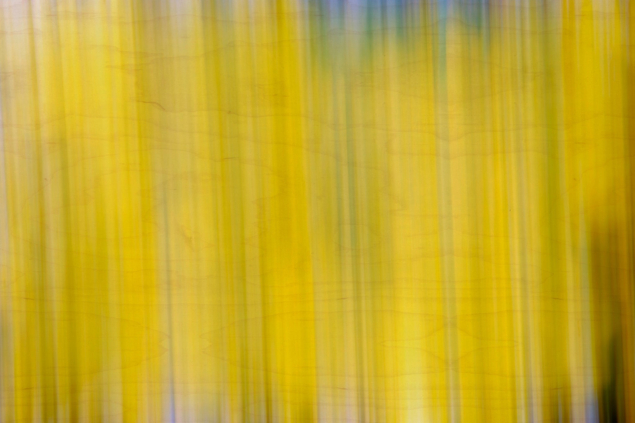 Static and Motion, 2009-10-18-0429