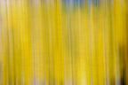 Static and Motion, 2009-10-18-0429