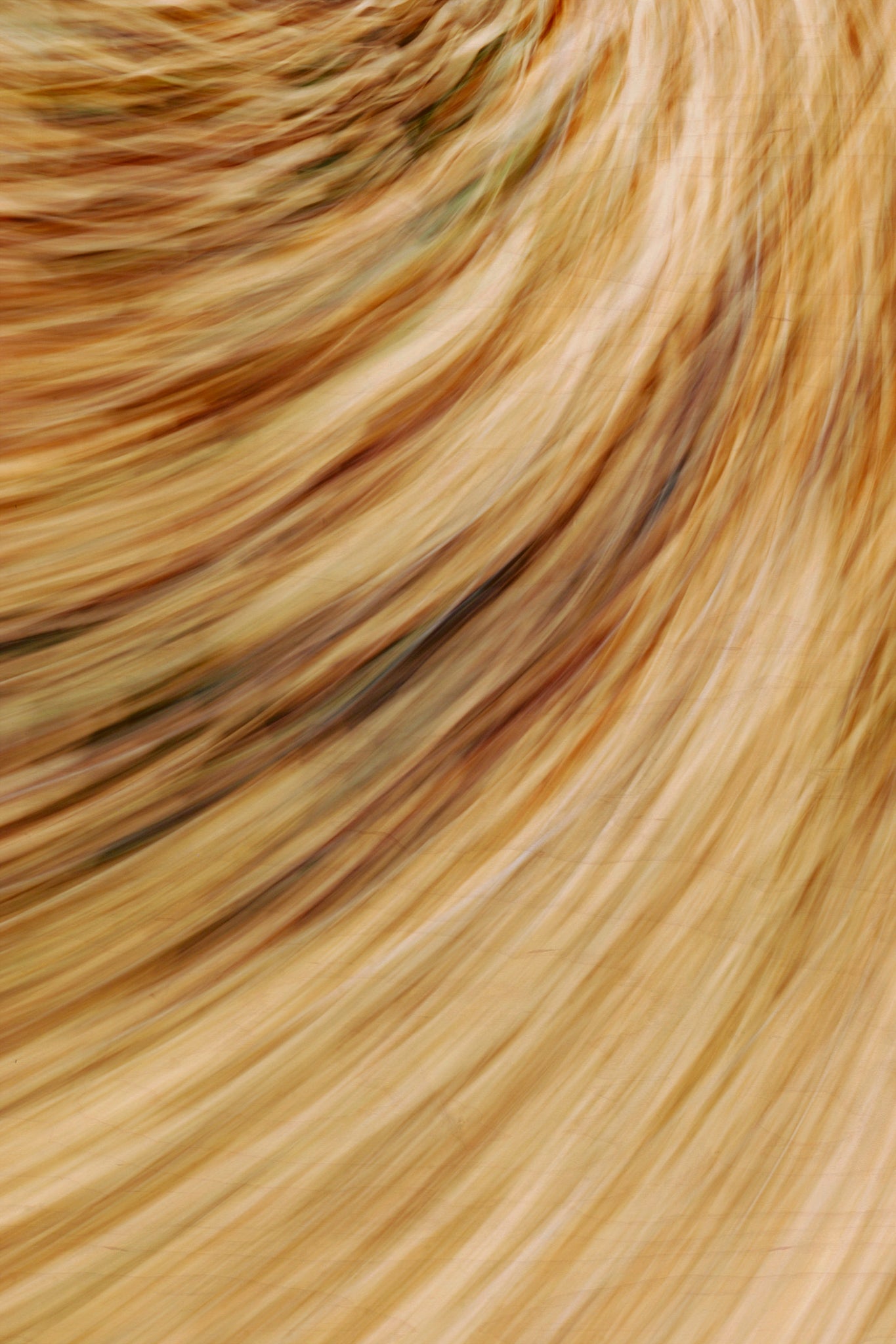 Static and Motion, 2009-10-18-0505