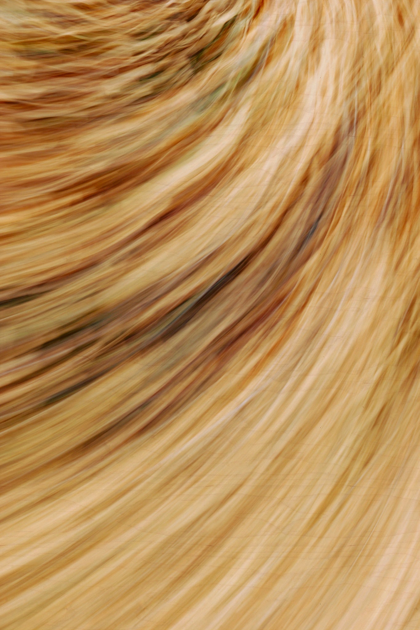 Static and Motion, 2009-10-18-0505