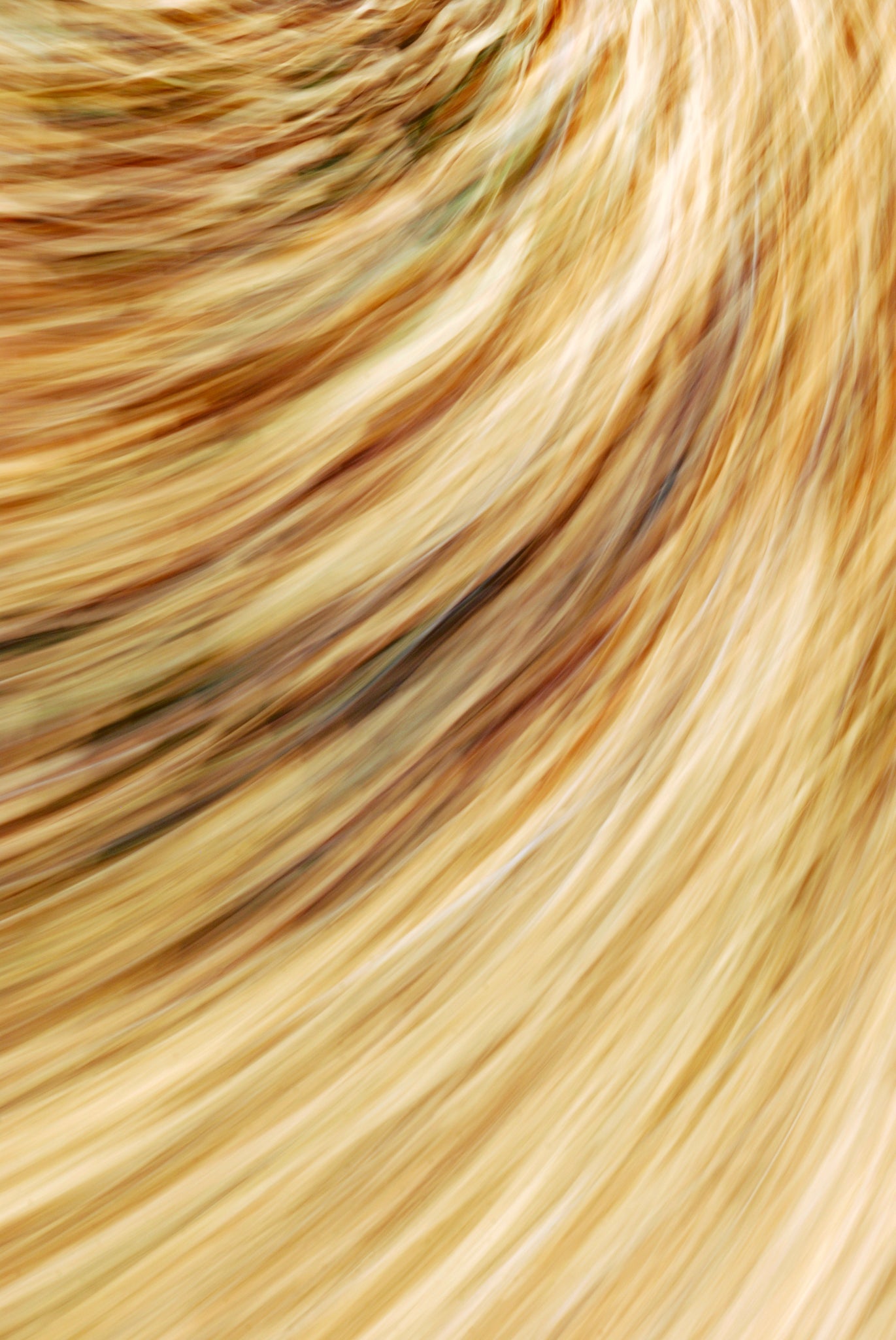 Static and Motion, 2009-10-18-0505