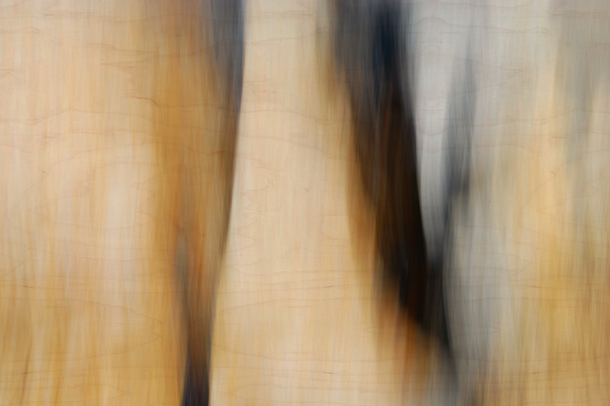 Static and Motion, 2009-10-18-0569
