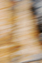 Static and Motion, 2009-10-18-0585
