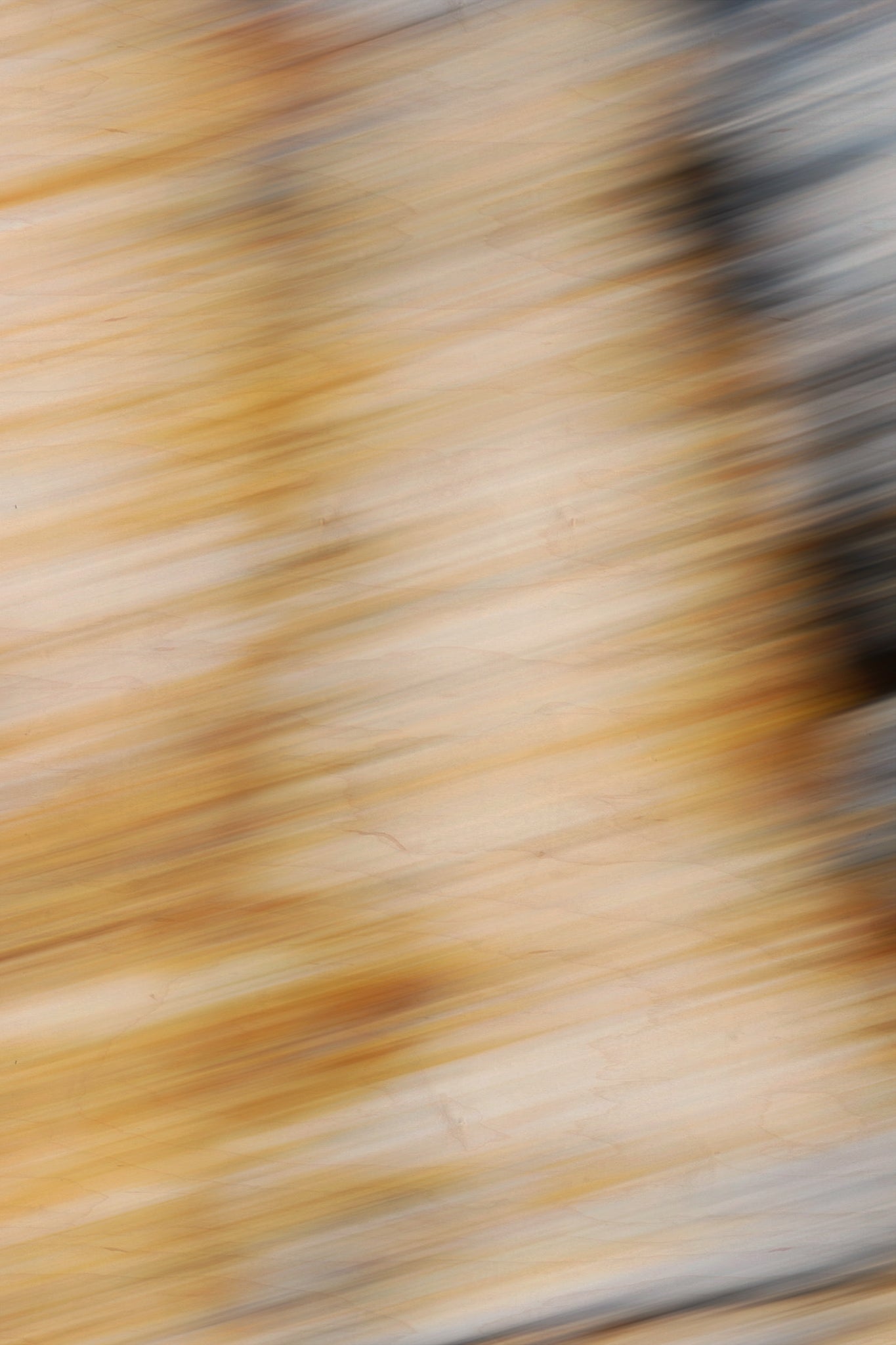 Static and Motion, 2009-10-18-0585