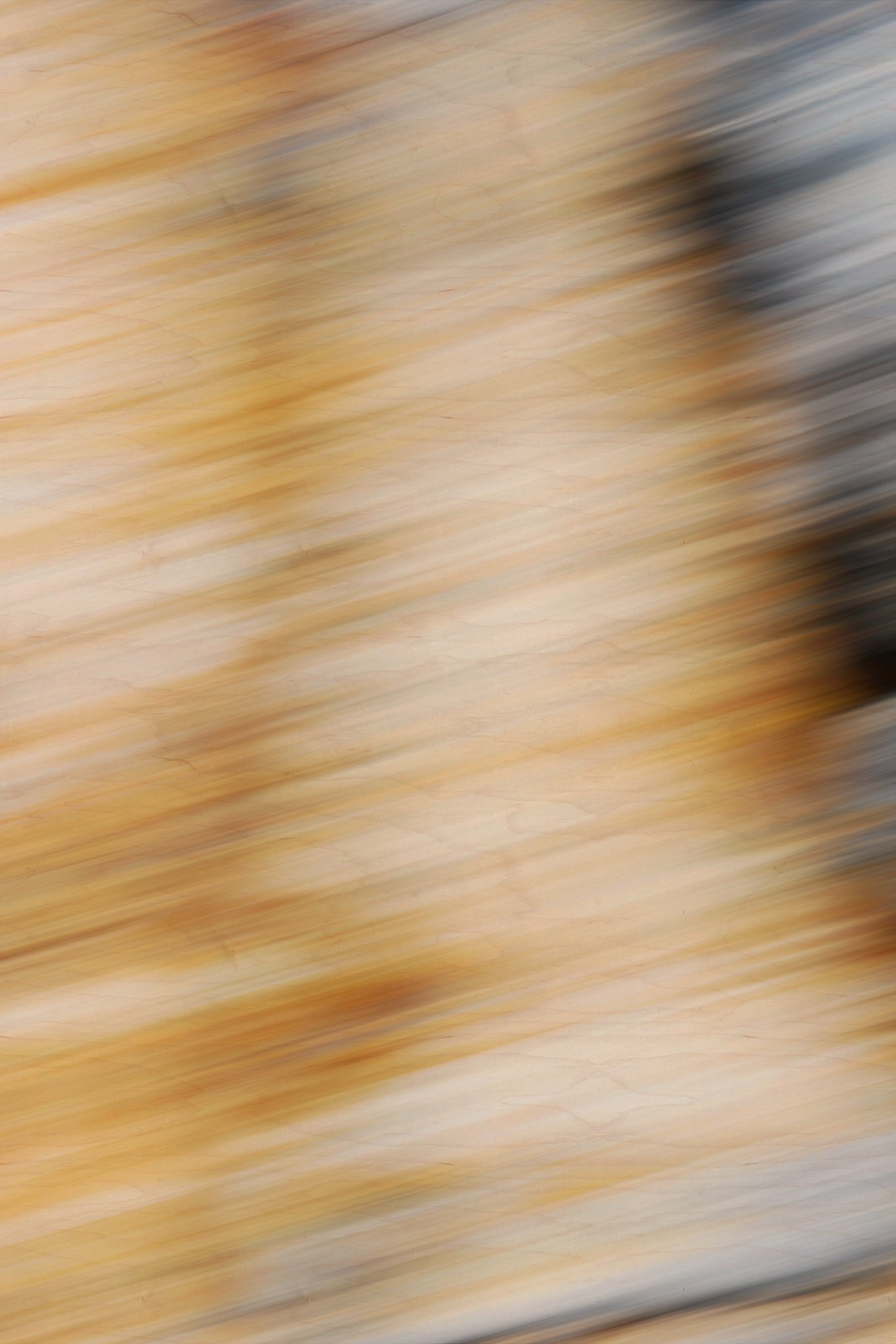 Static and Motion, 2009-10-18-0585