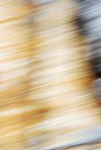 Static and Motion, 2009-10-18-0585