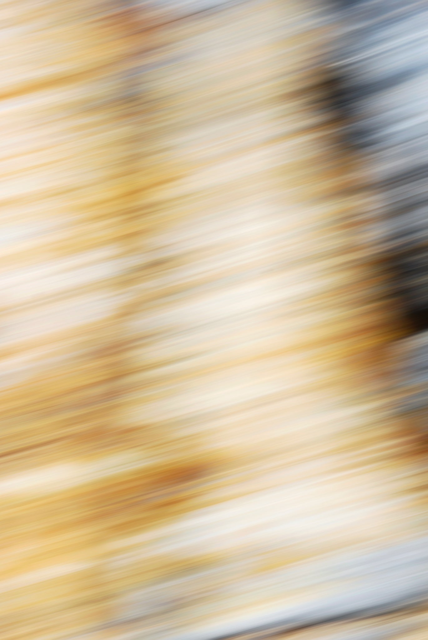 Static and Motion, 2009-10-18-0585