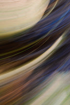 Static and Motion, 2009-10-18-0612