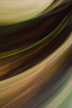 Static and Motion, 2009-10-18-0615