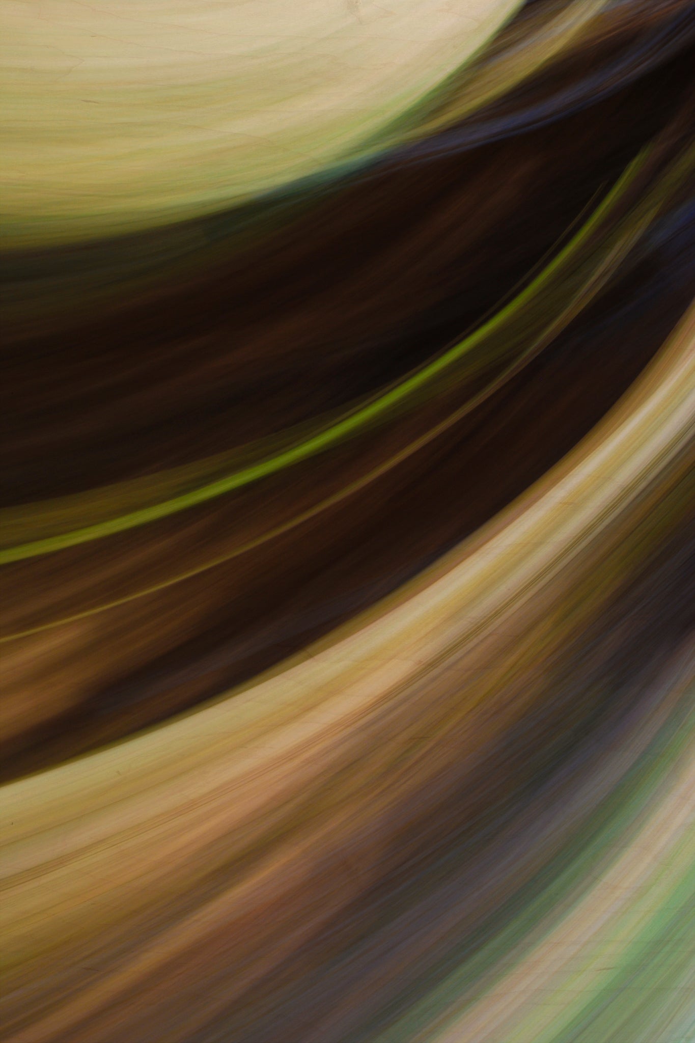 Static and Motion, 2009-10-18-0615