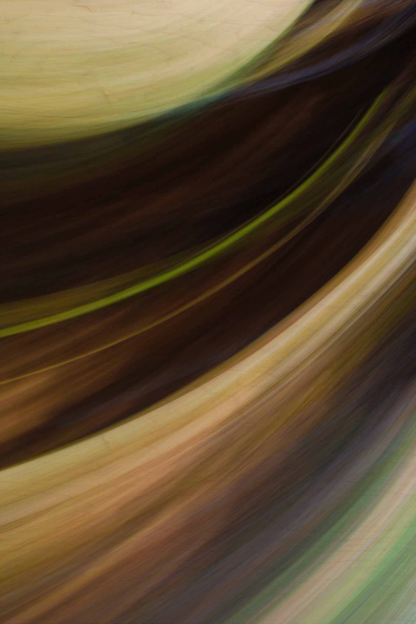 Static and Motion, 2009-10-18-0615