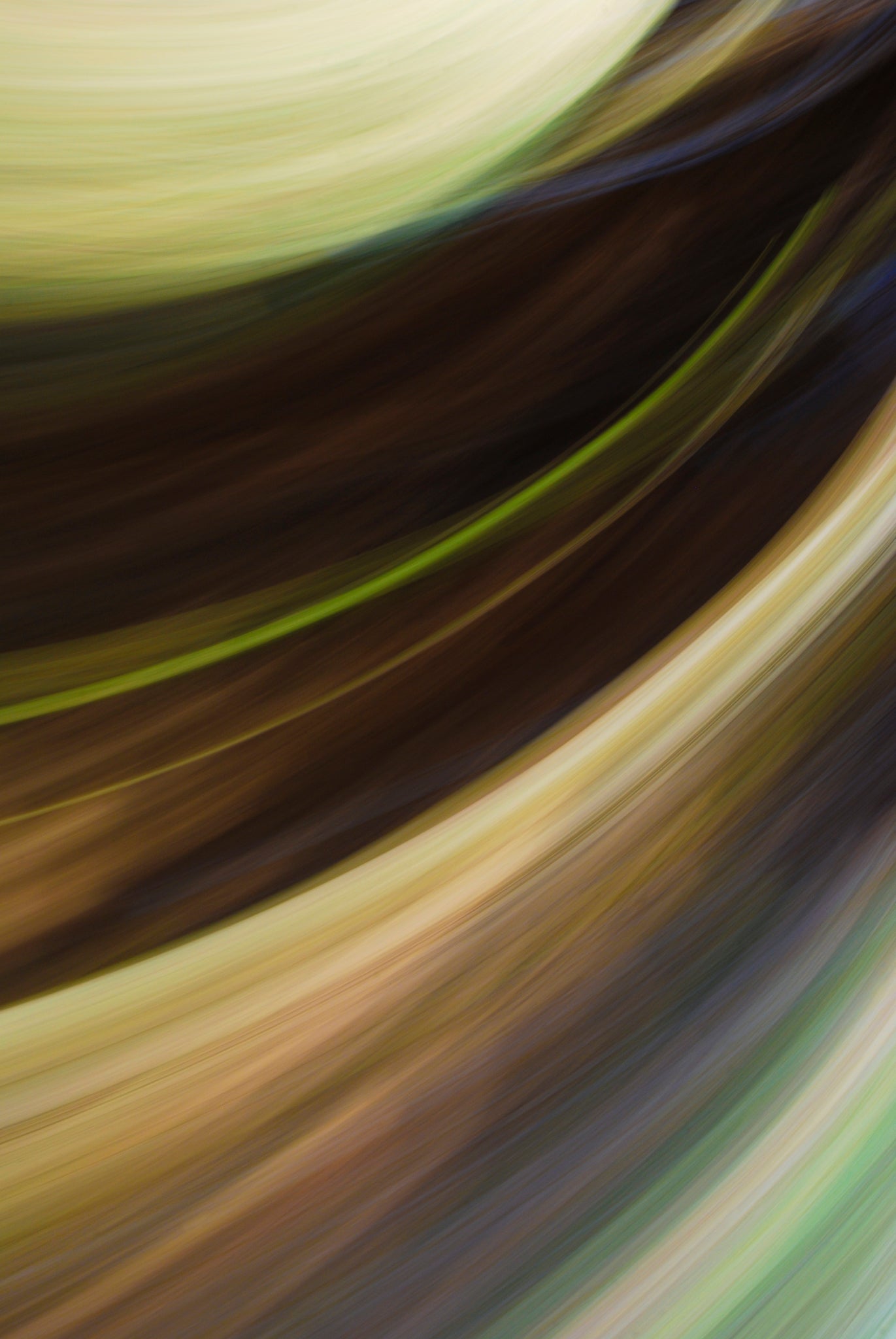 Static and Motion, 2009-10-18-0615