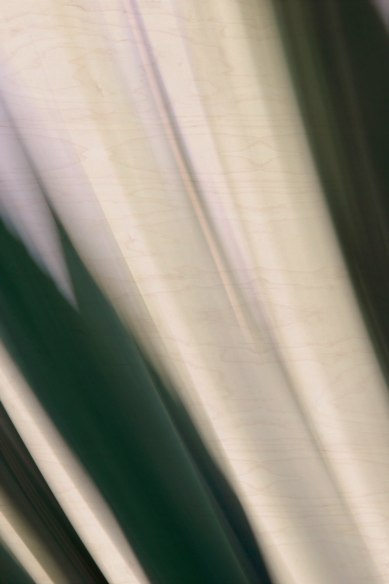 Static and Motion, 2010-02-06-0295