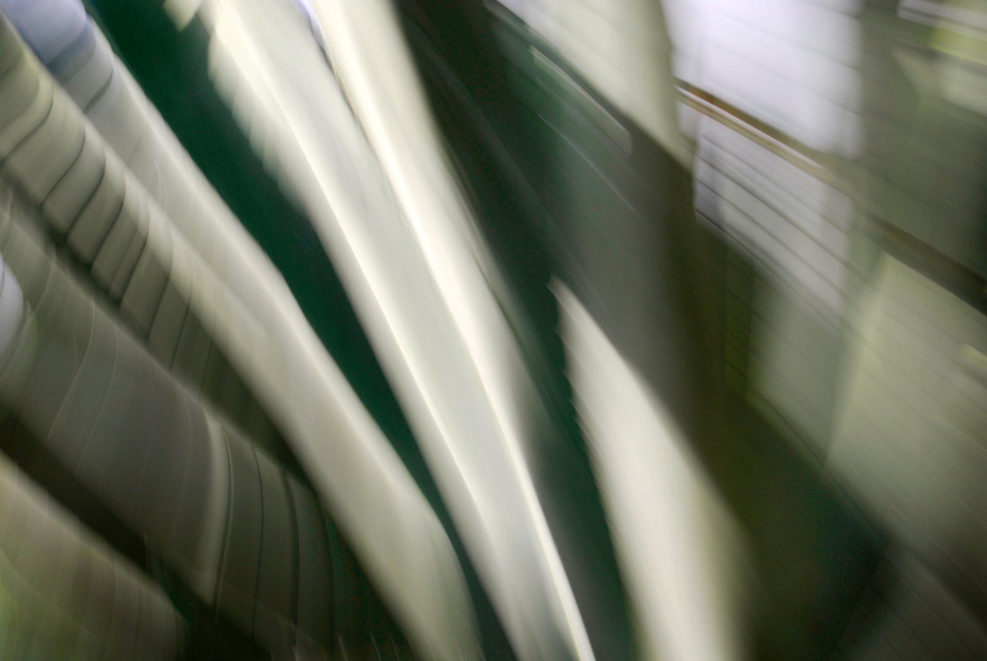 Static and Motion, 2010-02-06-0302