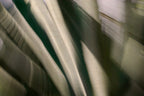 Static and Motion, 2010-02-06-0302