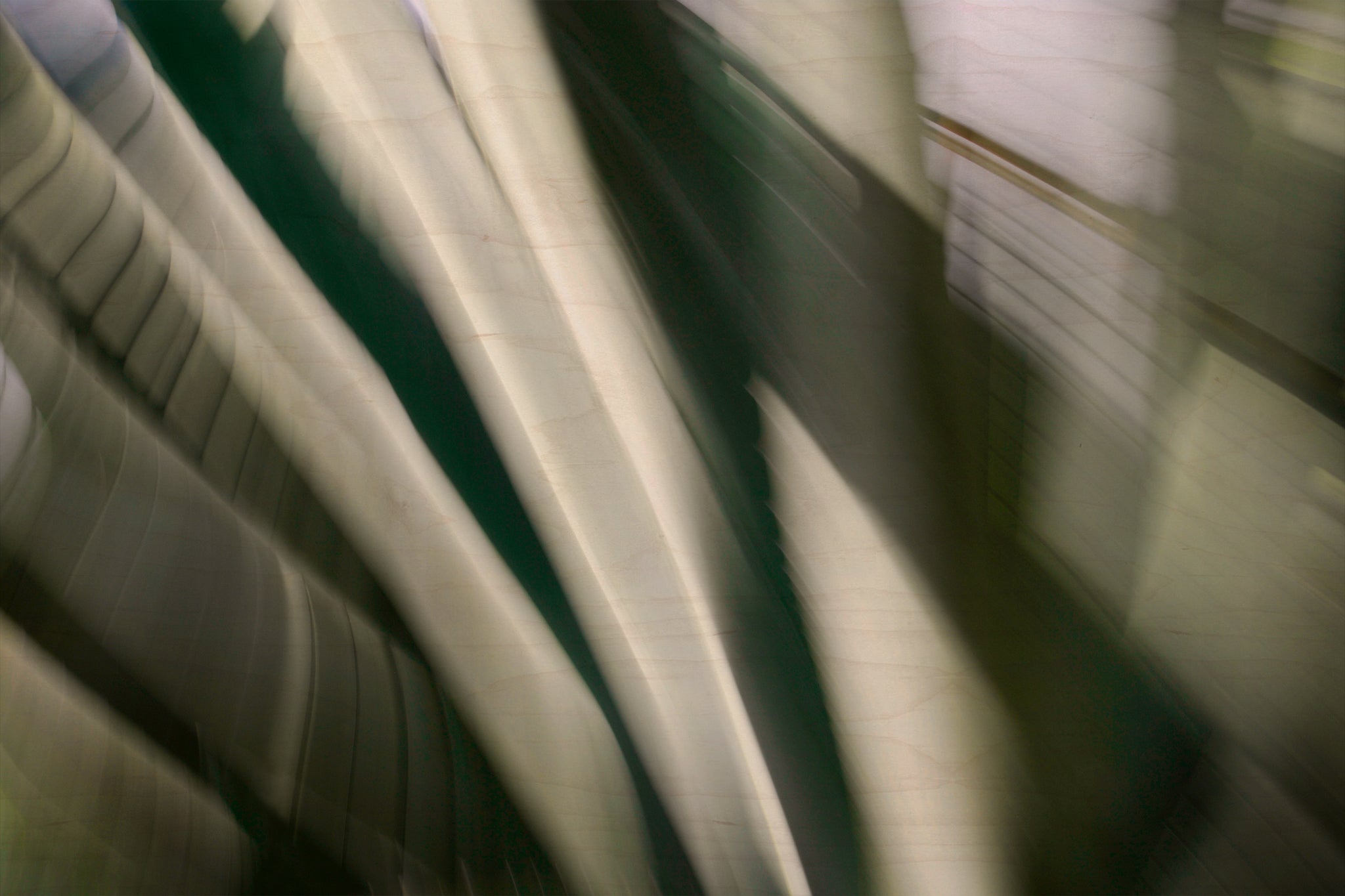 Static and Motion, 2010-02-06-0302