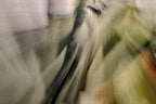 Static and Motion, 2010-02-06-0306