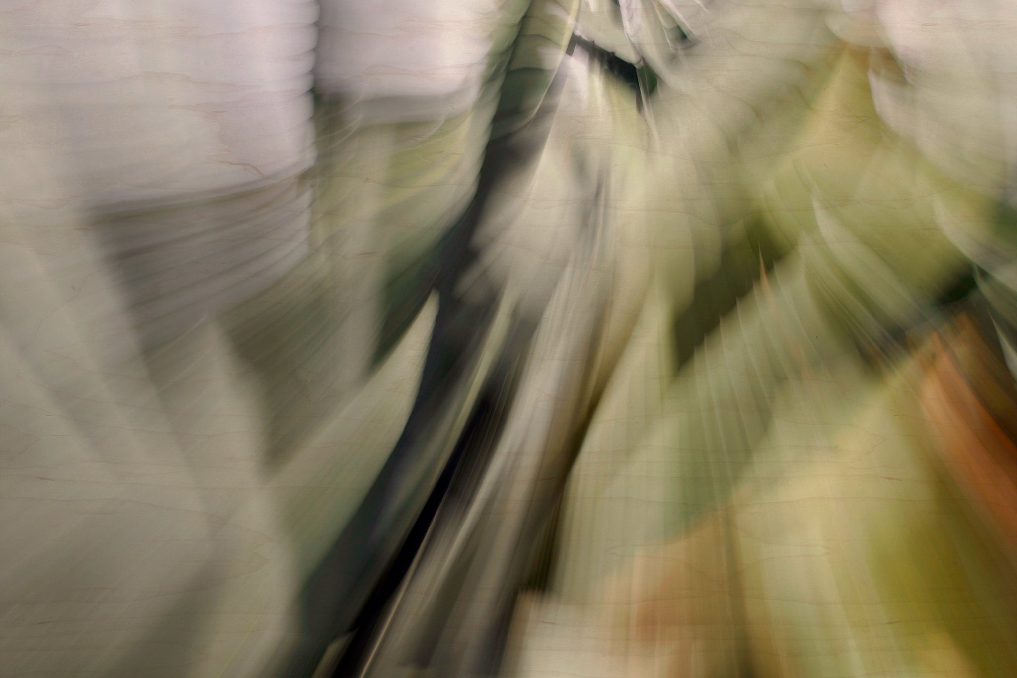 Static and Motion, 2010-02-06-0306