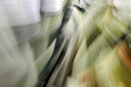 Static and Motion, 2010-02-06-0306