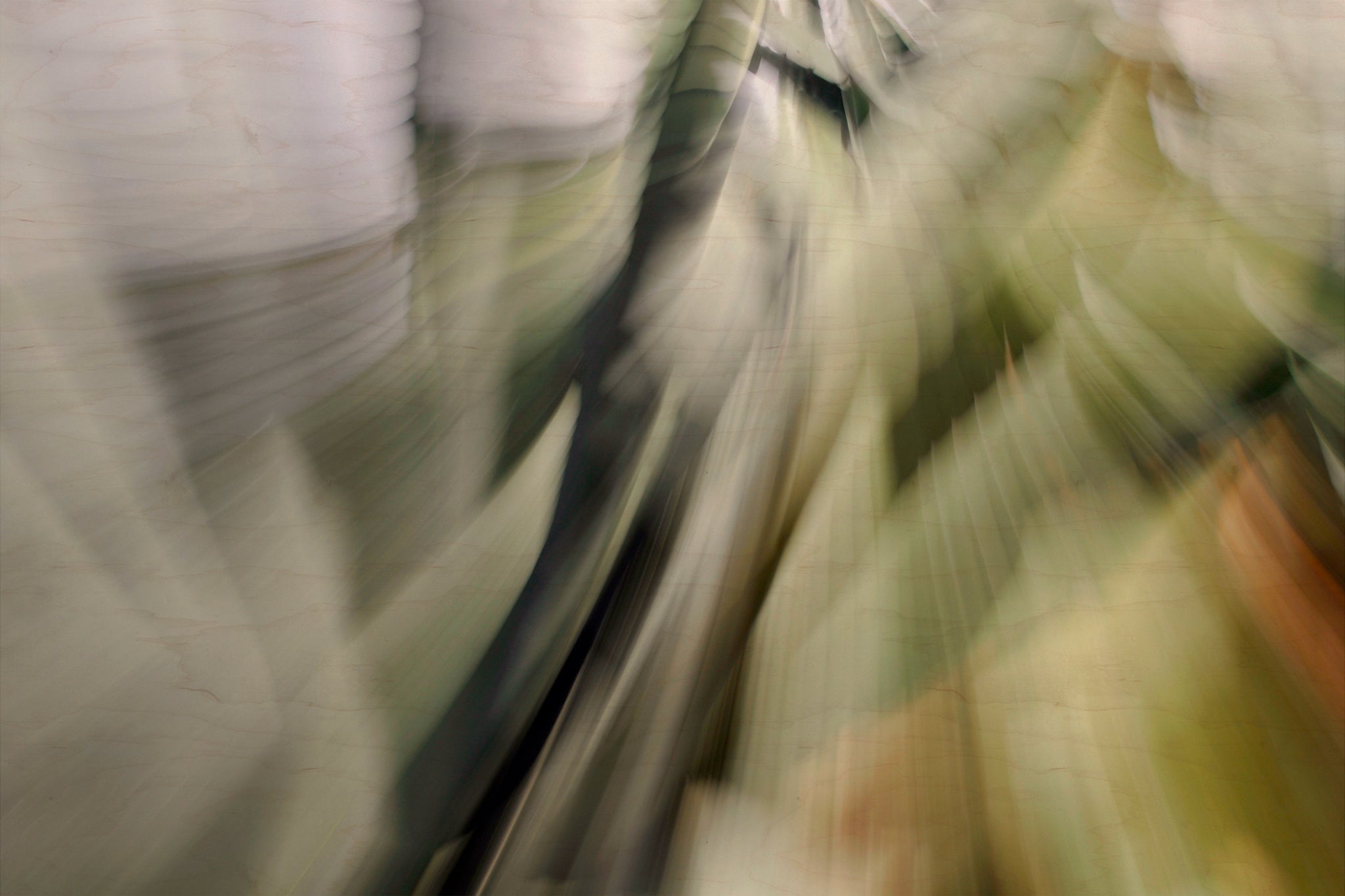 Static and Motion, 2010-02-06-0306