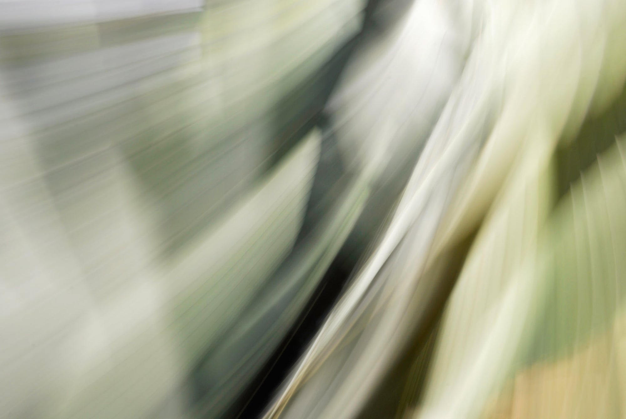 Static and Motion, 2010-02-06-0308
