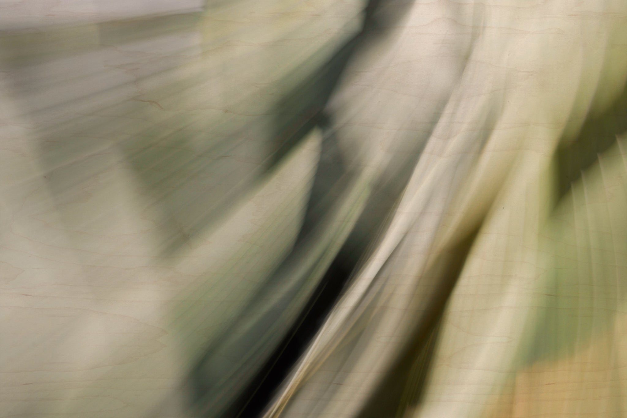 Static and Motion, 2010-02-06-0308