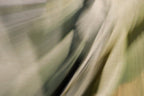 Static and Motion, 2010-02-06-0308