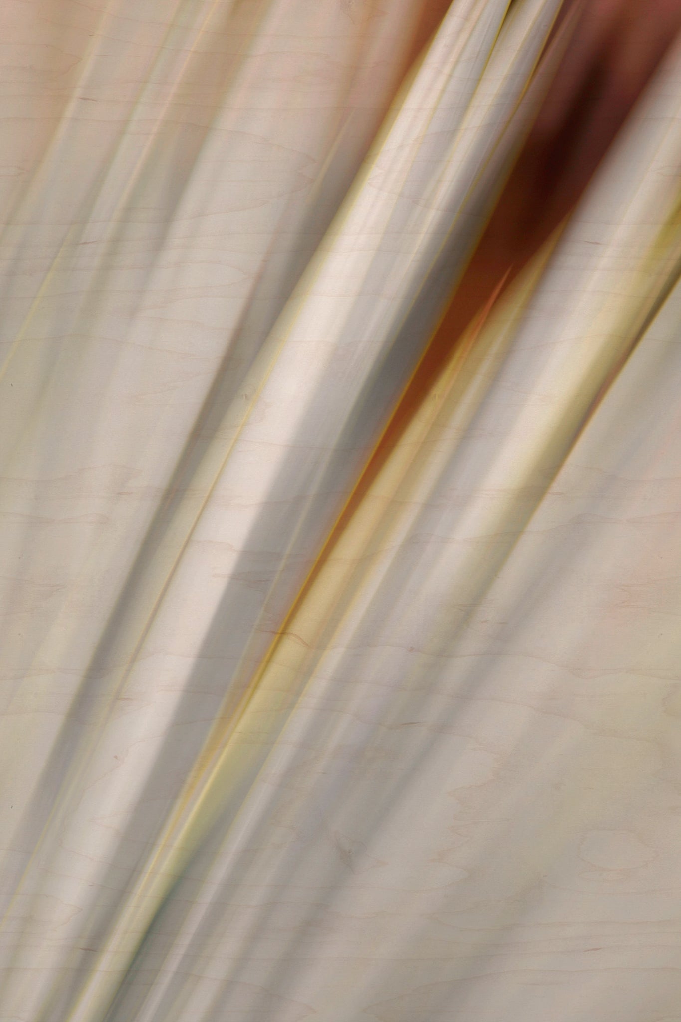 Static and Motion, 2010-02-06-0323