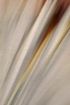 Static and Motion, 2010-02-06-0323