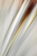 Static and Motion, 2010-02-06-0323
