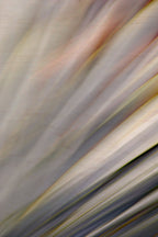 Static and Motion, 2010-02-06-0325