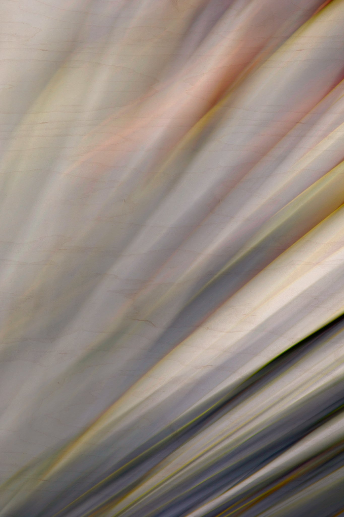 Static and Motion, 2010-02-06-0325