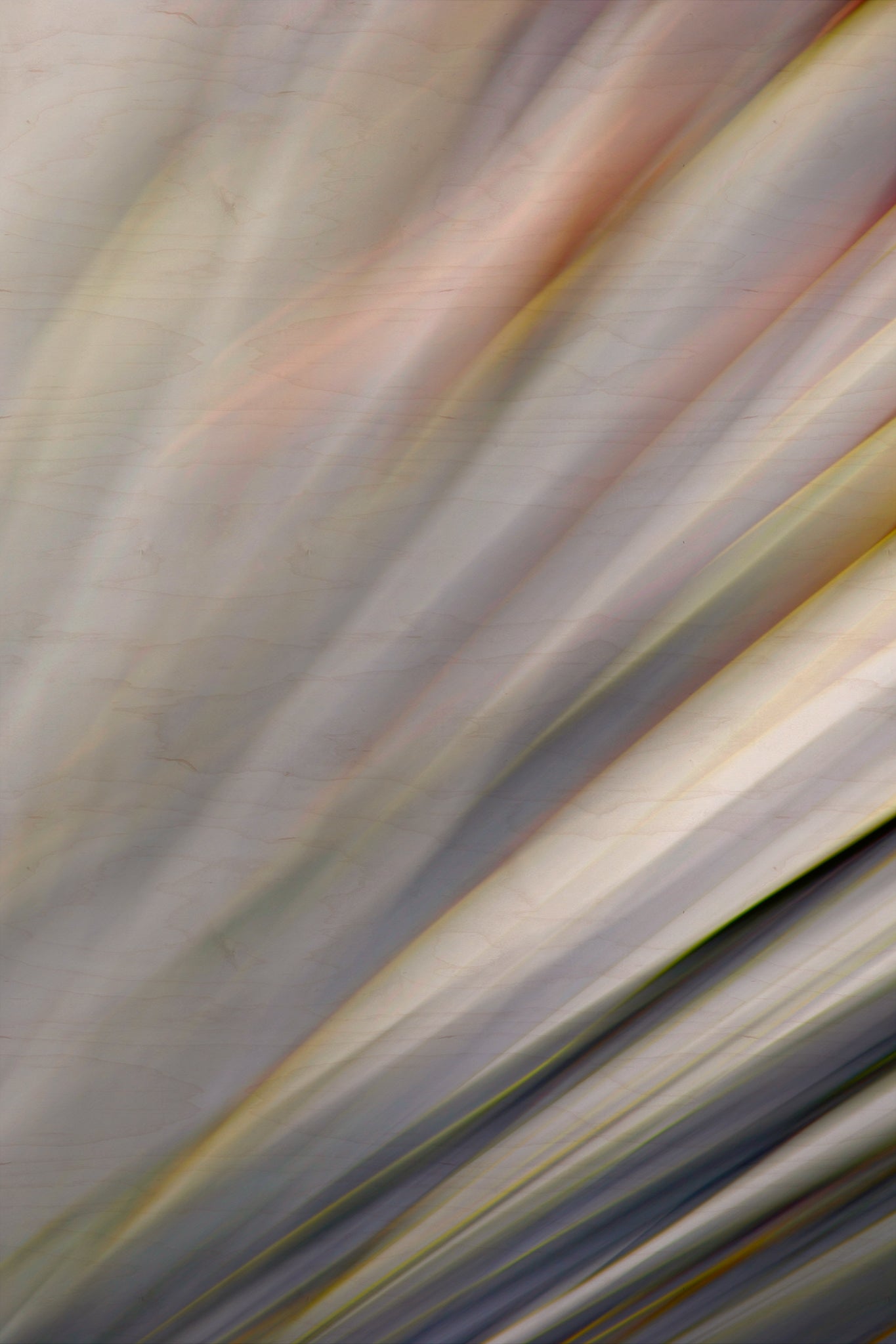 Static and Motion, 2010-02-06-0325