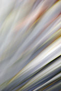 Static and Motion, 2010-02-06-0325