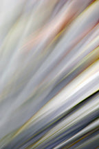 Static and Motion, 2010-02-06-0325
