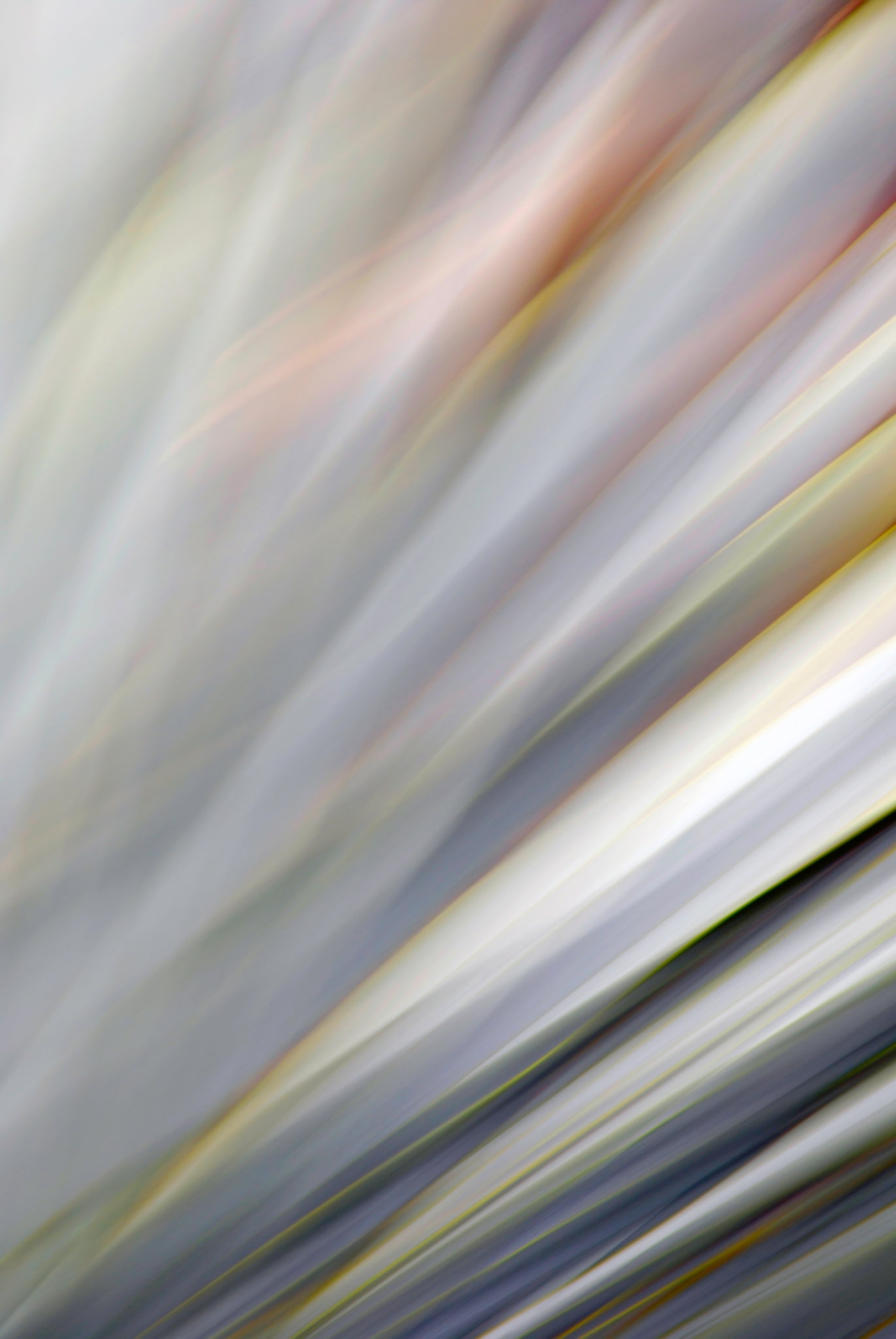 Static and Motion, 2010-02-06-0325