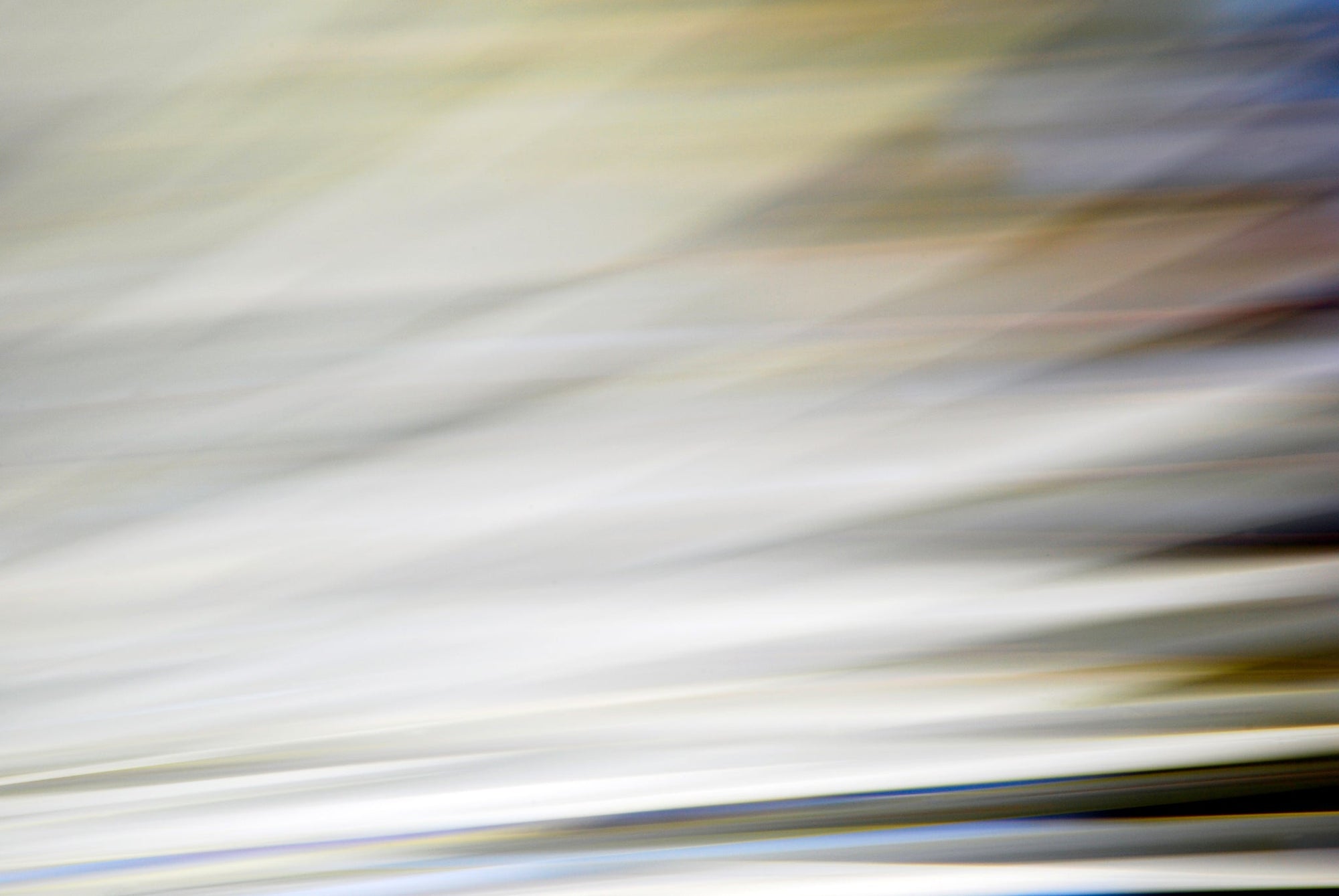 Static and Motion, 2010-02-06-0327