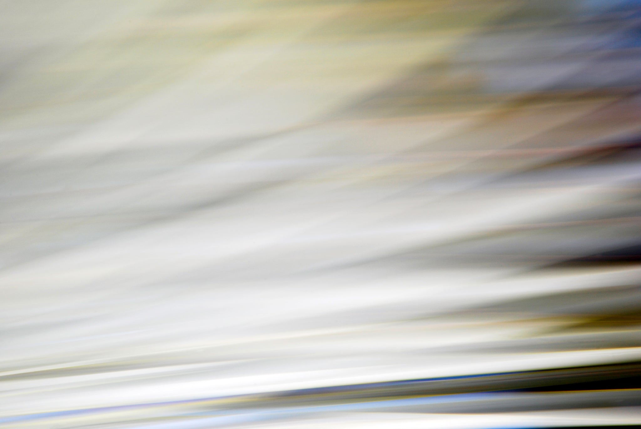 Static and Motion, 2010-02-06-0327