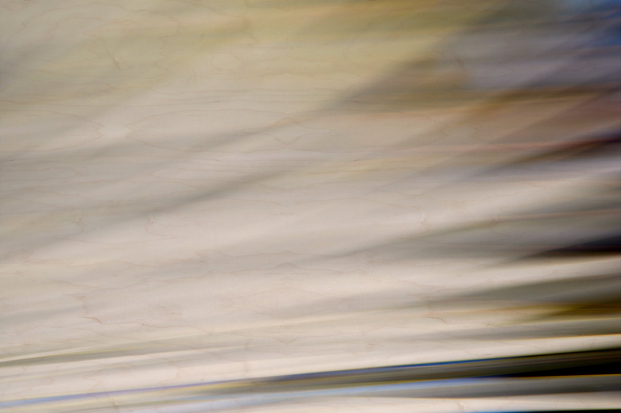 Static and Motion, 2010-02-06-0327