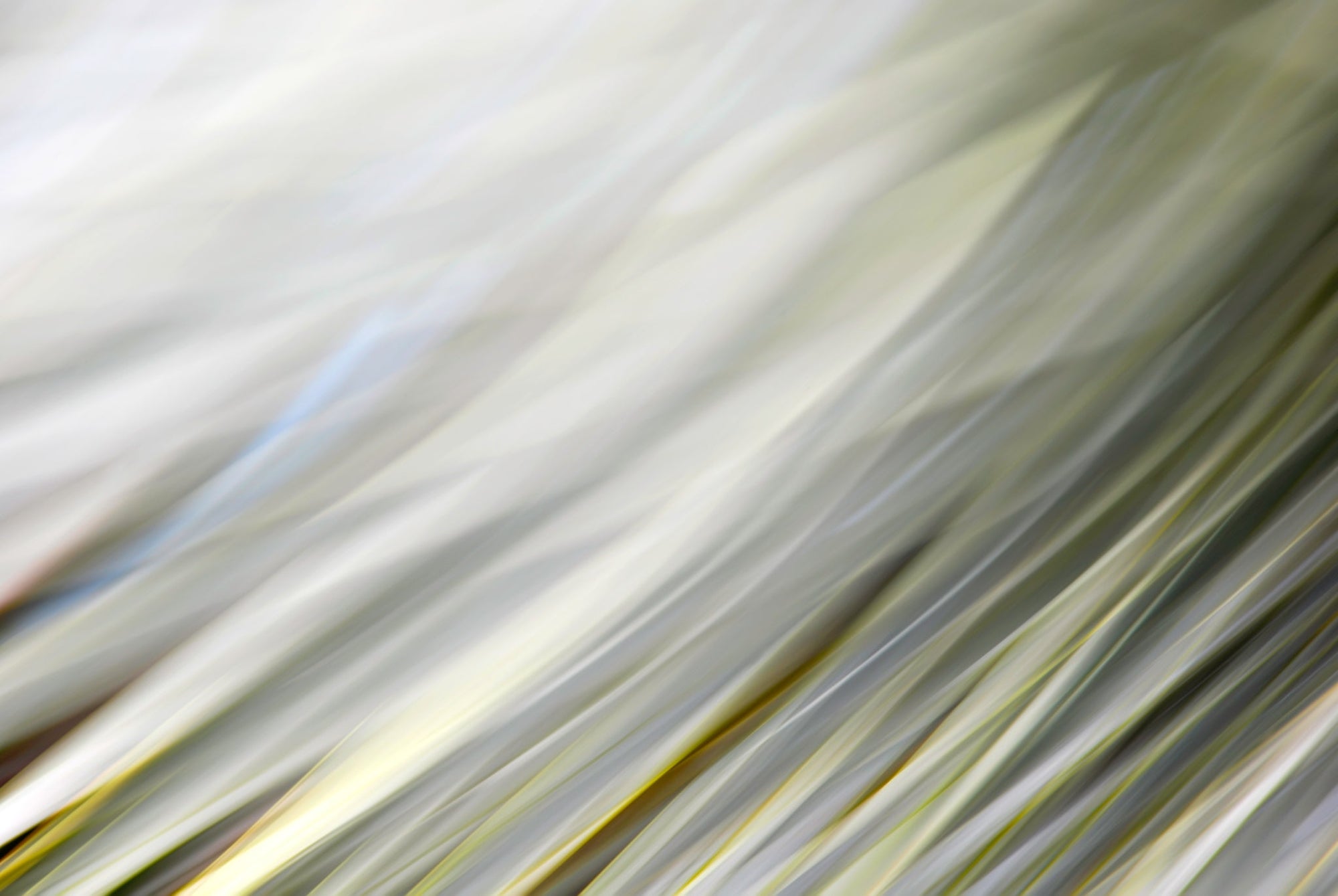 Static and Motion, 2010-02-06-0330