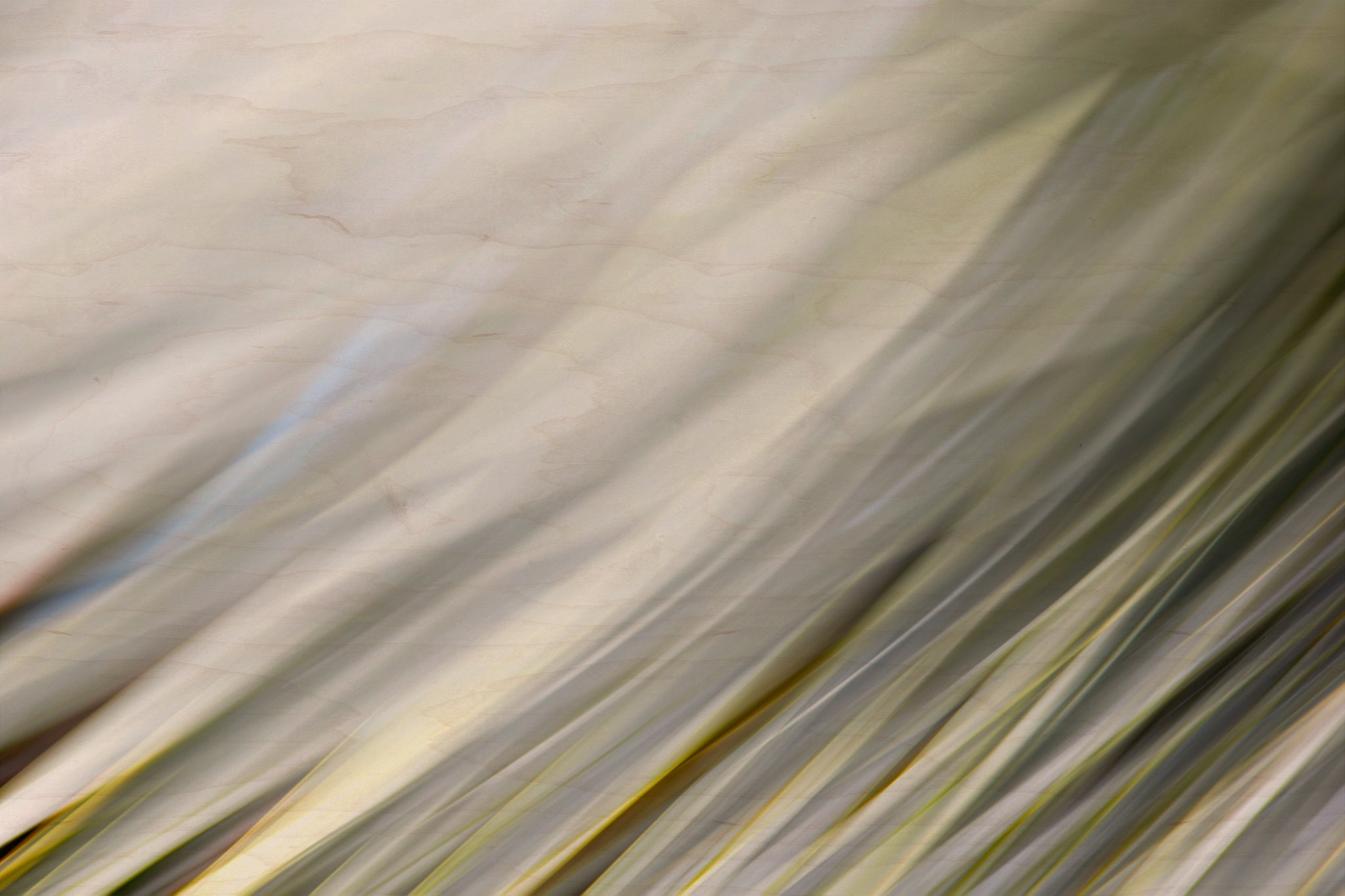 Static and Motion, 2010-02-06-0330