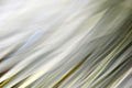 Static and Motion, 2010-02-06-0330