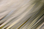 Static and Motion, 2010-02-06-0330