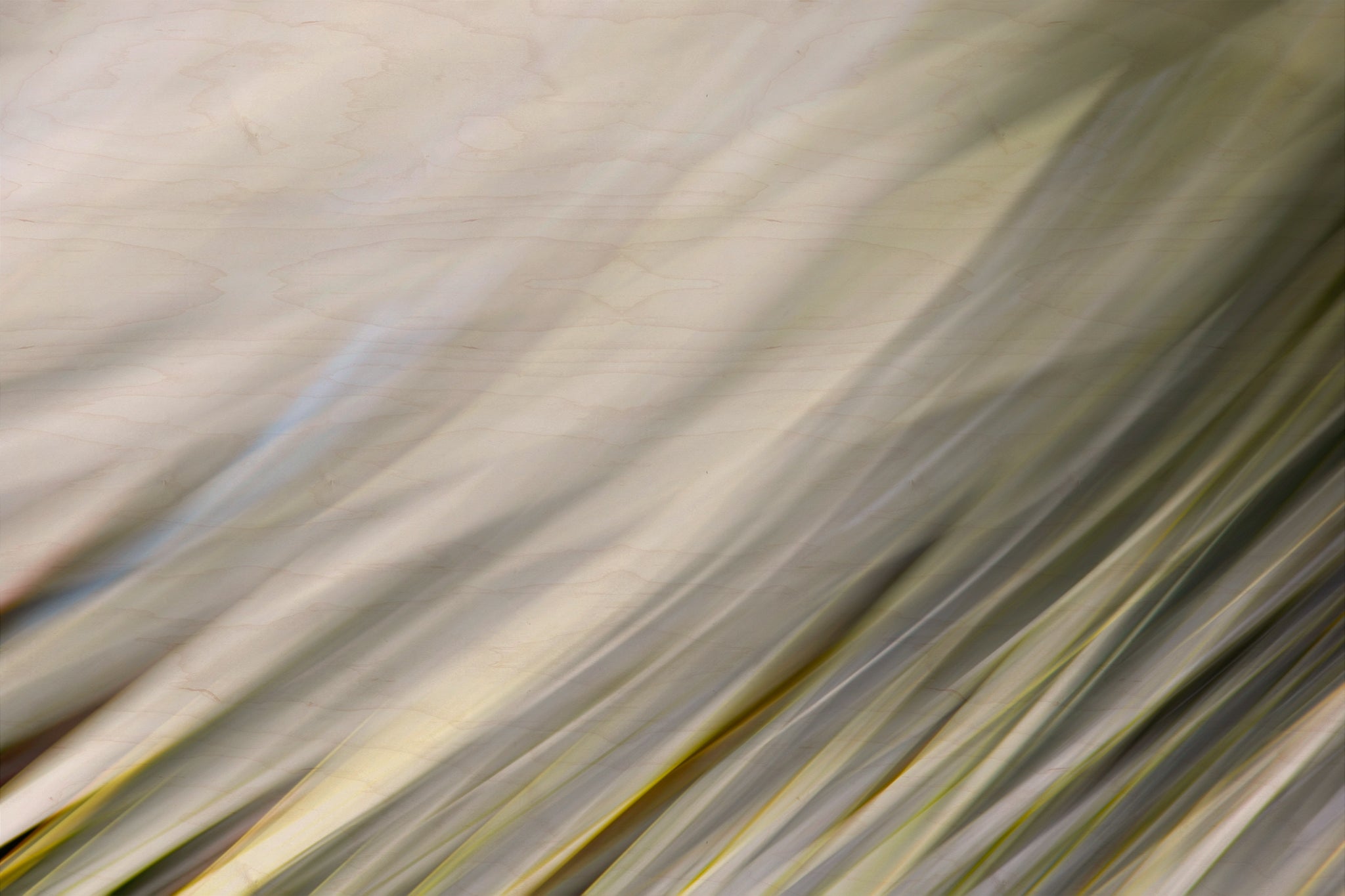 Static and Motion, 2010-02-06-0330