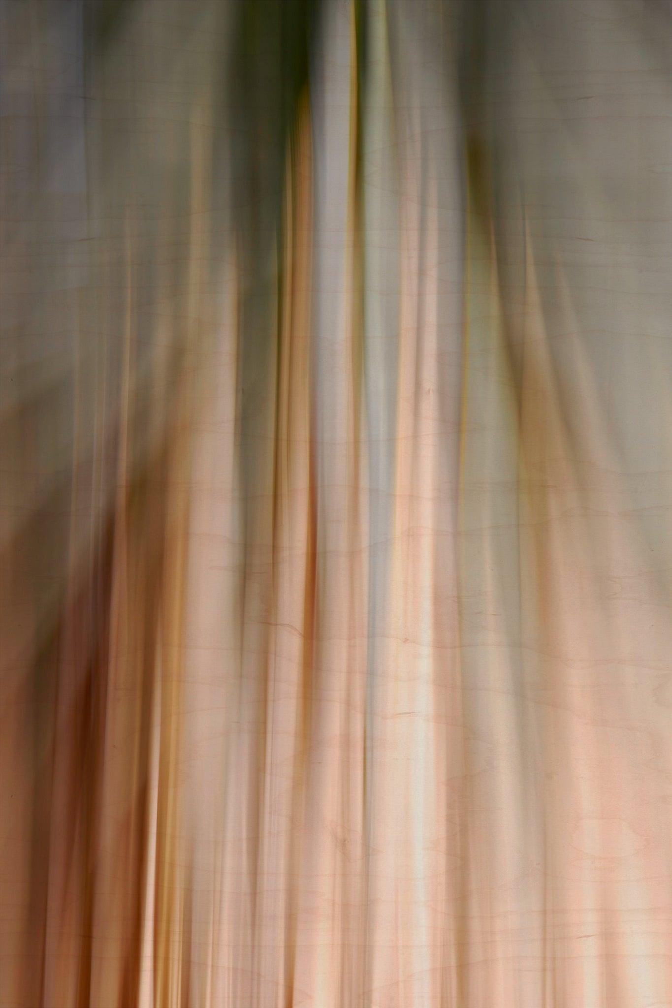 Static and Motion, 2010-02-06-0338