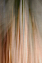Static and Motion, 2010-02-06-0338